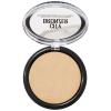 Maybelline New York City Bronzer Powder Makeup, Bronzer and Contour Powder, 300, 0.32 oz.(CITY BRONZR 100)